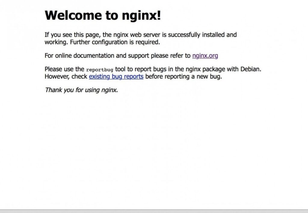 Nginx Web Server Kurulumu